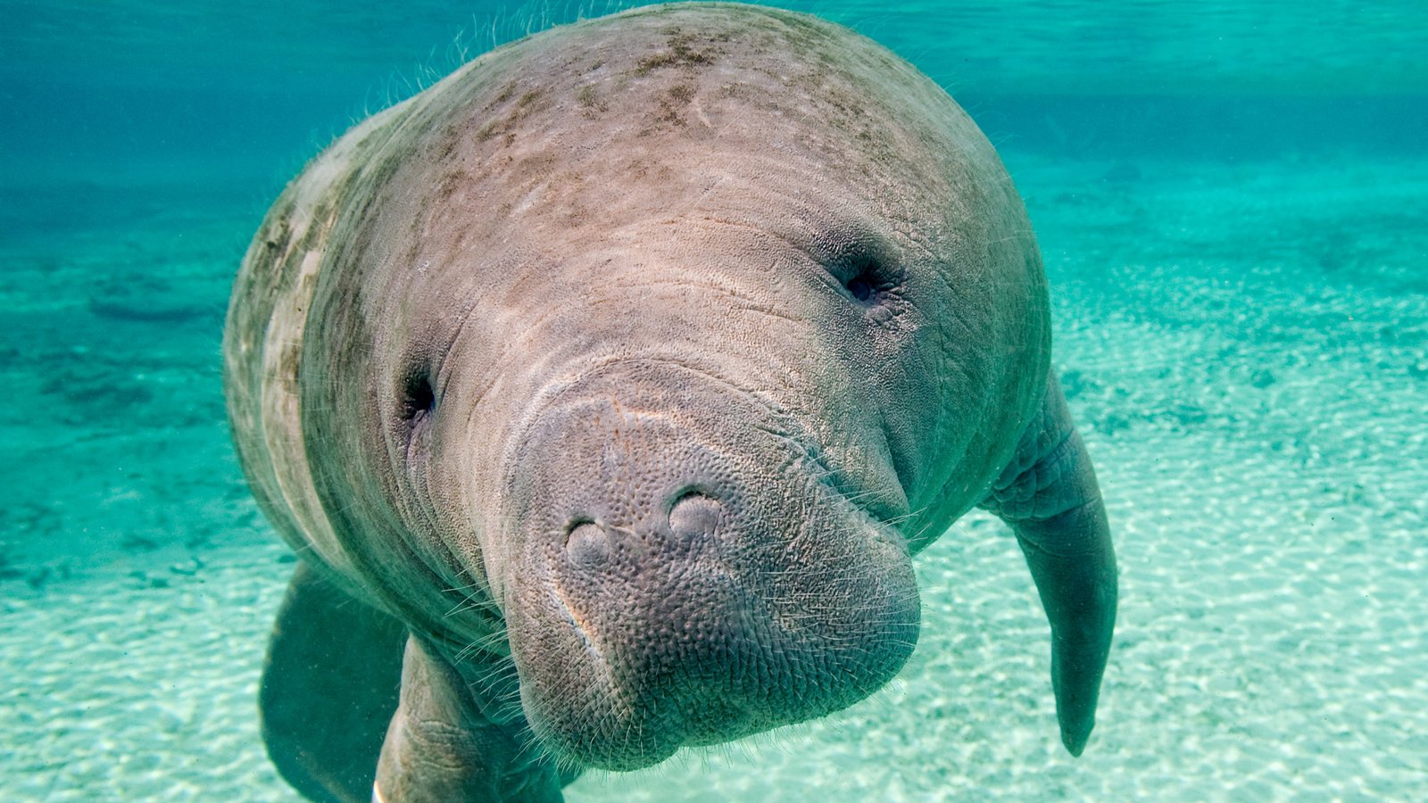 A TRIP TO THE TEMPLE CITY BHUBANESWAR