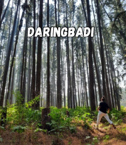 Daringbadi