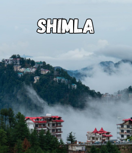 Shimla